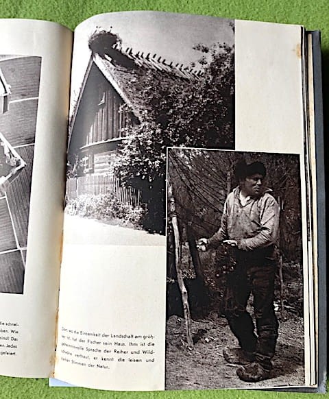 Ordensland_bocian.jpg