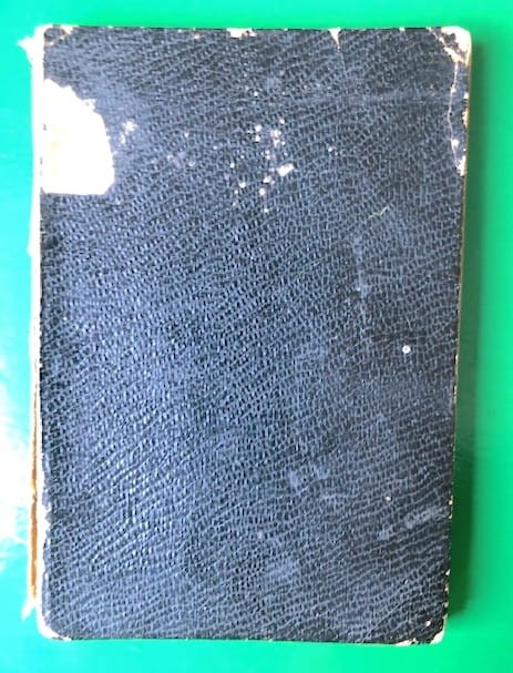 Wierzenia_front_1.jpg