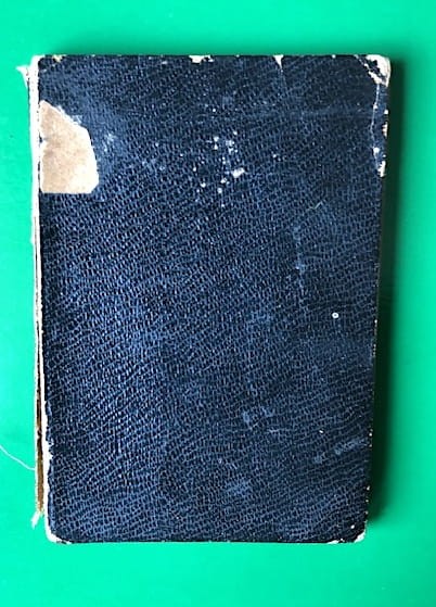 Wierzenia_front_2.jpg
